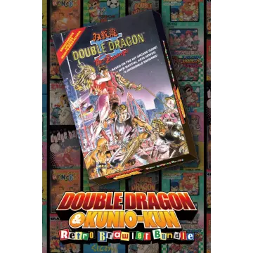 Купить ключ DOUBLE DRAGON 2: The Revenge выгодно