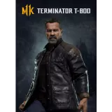 Купить ключ Mortal Kombat 11 Терминатор T-800 на Xbox по выгодной цене