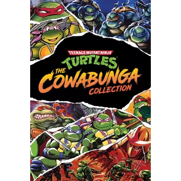 Купить активацию Teenage Mutant Ninja Turtles Cowabunga выгодно