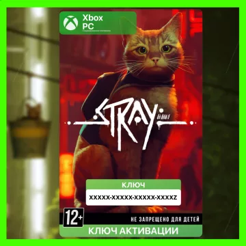 Купить ключ STRAY выгодно