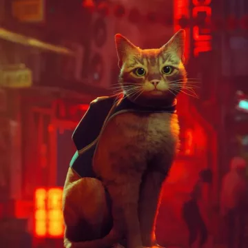 Купить аккаунт STRAY выгодно