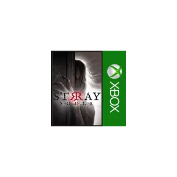 Купить активацию Stray Souls выгодно