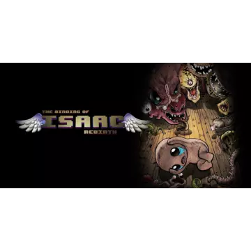 Купить активацию The Binding of Isaac: Rebirt +3 выгодно