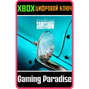 Купить DLC Saints Row Expansion Pass выгодно
