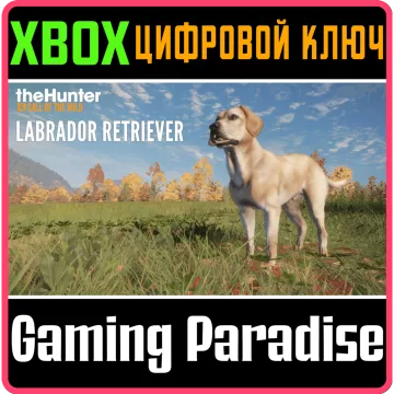Купить ключ Thehunter: Call Of The Wild - Labrador Retriever выгодно
