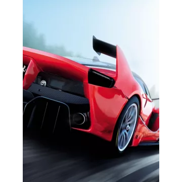 Купить ключ Assetto Corsa выгодно
