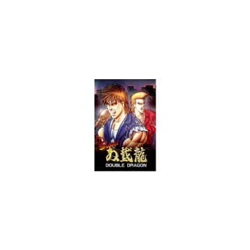 Купить ключ Super Double Dragon выгодно