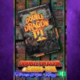 Купить активацию DOUBLE DRAGON Ⅲ The Sacred Stones на Xbox по выгодной цене