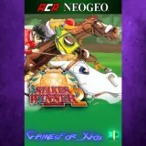Купить активацию Aca Neogeo Stakes Winner 2 на Xbox по выгодной цене