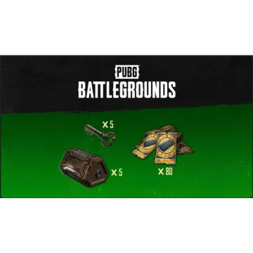 Купить DLC PUBG Эксклюзивный набор Выжившего № 2 выгодно
