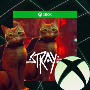 Купить активацию STRAY выгодно