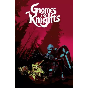 Купить активацию Gnomes and Knights выгодно