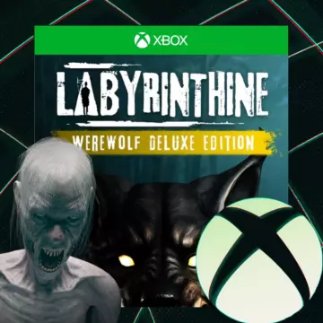 Купить активацию Labyrinthine Supporter выгодно