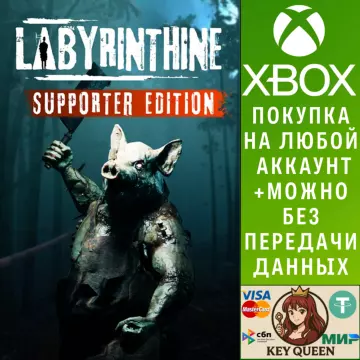 Купить активацию Labyrinthine - Supporter Edition выгодно