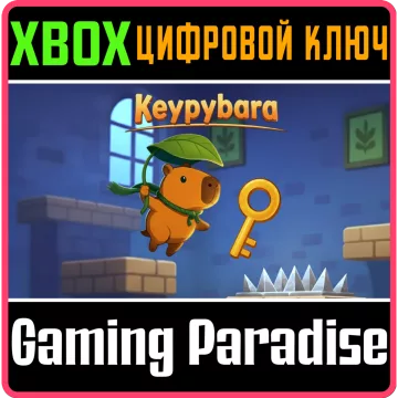 Купить ключ Pybara выгодно