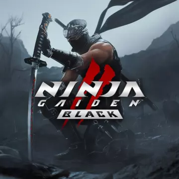 Купить ключ Ninja Gaiden 2 Black выгодно