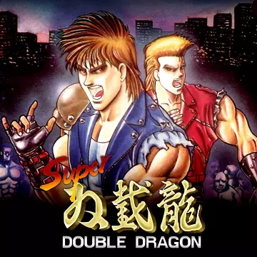 Купить ключ Super Double Dragon выгодно