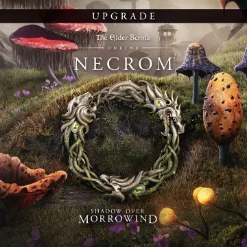 Купить DLC The Elder Scrolls Online Upgrade: Necrom выгодно
