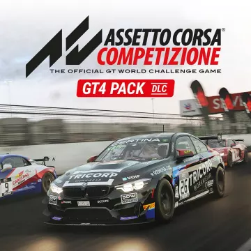 Купить DLC Assetto Corsa Competizione GT4 Pack выгодно