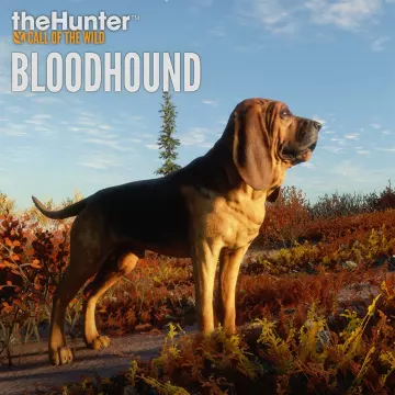 Купить ключ Thehunter: Call Of The Wild - Bloodhound выгодно
