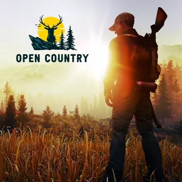 Купить ключ Open Country выгодно