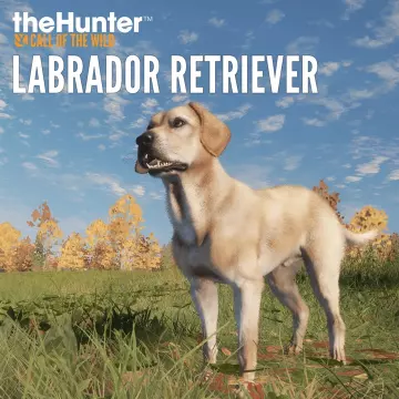 Купить ключ Thehunter: Call Of The Wild - Labrador Retriever выгодно