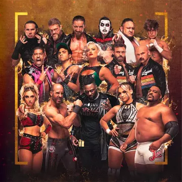 Купить DLC AEW Fight Forever All Season Pass Bundle выгодно