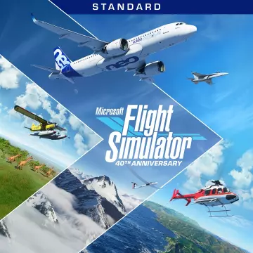 Купить ключ Microsoft Flight Simulator Standard 40TH выгодно