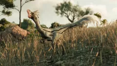 Купить ключ Jwe 2 «Господство. Мальта» на Xbox по выгодной цене