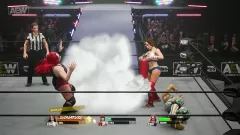 Aew: Fight Forever Elite Edition — купить ключ дёшево