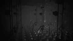 White Shadows на Xbox — ключ с моментальной выдачей