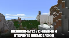 Minecraft Master Collection — купить ключ дёшево