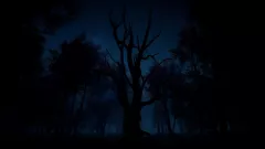 Купить ключ Slender: The Arrival (2023) для Xbox выгодно