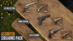 Call Of The Wild™ - Assorted Sidearms Pack — купить DLC дёшево