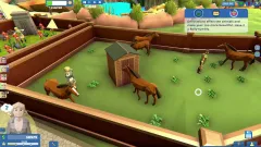 Zookeeper на Xbox — ключ с моментальной выдачей