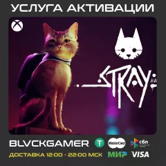 Купить активацию Stray для Xbox выгодно