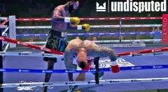 Undisputed - Deluxe WBC Edition — купить аккаунт дёшево