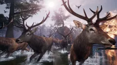 Активацию Away : The Survival Series для Xbox One и Series X|S