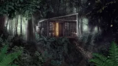 9 Clues 2: The Ward на Xbox — активацию с моментальной выдачей