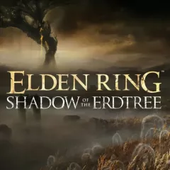 Elden Ring Nightreign + Bundle — купить аккаунт дёшево