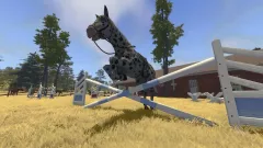 Купить ключ House Flipper - Farm на Xbox по выгодной цене