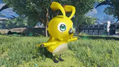 PSO2:Ngs - Beginners! Rappy Edition — купить ключ дёшево
