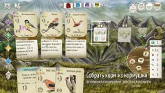 Купить ключ Птицы Европы + Океании + Азии на Xbox по выгодной цене