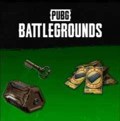 PUBG 2025 Survivor Pack — купить DLC дёшево