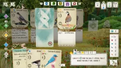 Заказать ключ Birds And Cats на Xbox