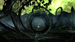 Купить активацию The Elder Scrolls V: Skyrim Anniversary Edition на Xbox по выгодной цене