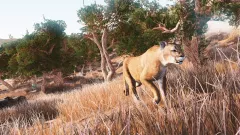 Hunting Simulator — купить активацию дёшево