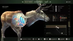 Купить активацию Way of the Hunter: Elite Edition для Xbox выгодно
