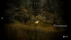 Hunting Simulator 2: Elite Edition — купить активацию дёшево