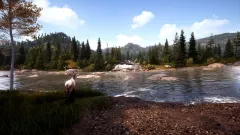 Hunting Simulator 2: Elite Edition — купить активацию дёшево